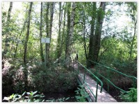 /album/fotogalerie-kola-2014/kola-2014-trebon-026-jpg/